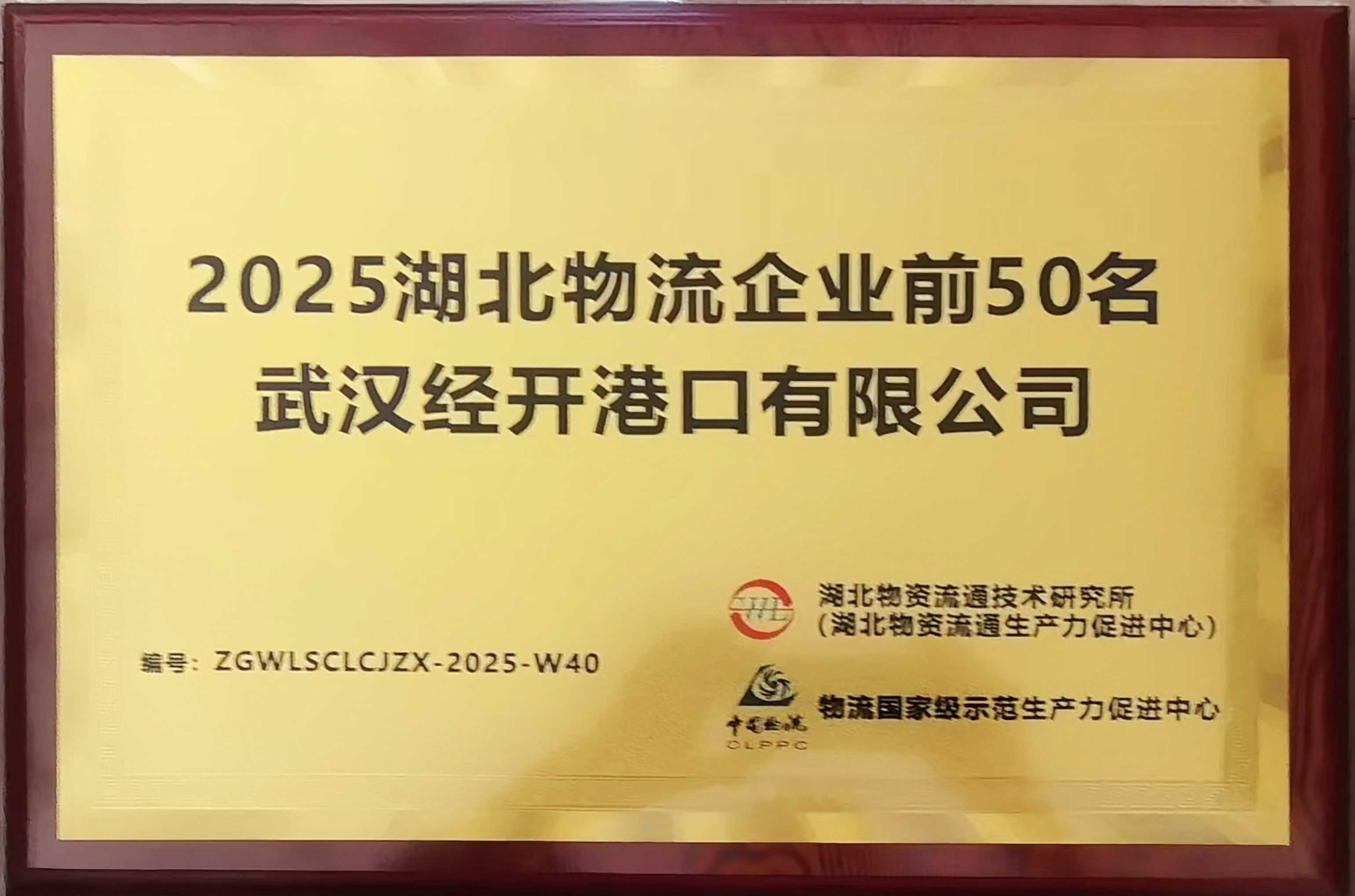 湖北物流企业50强-经开港.jpg